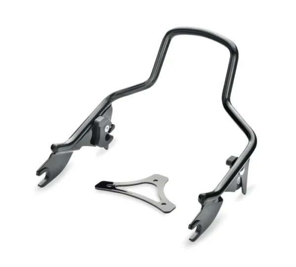 Apoyo del Sissy Bar H-D Detachables