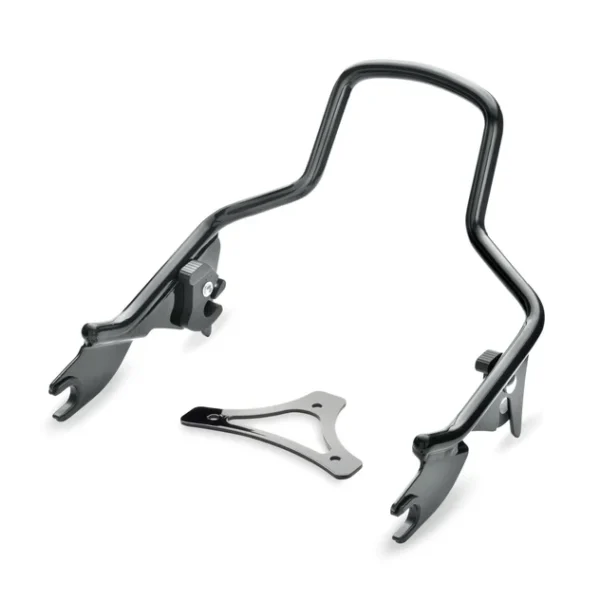 Apoyo del Sissy Bar H-D Detachables