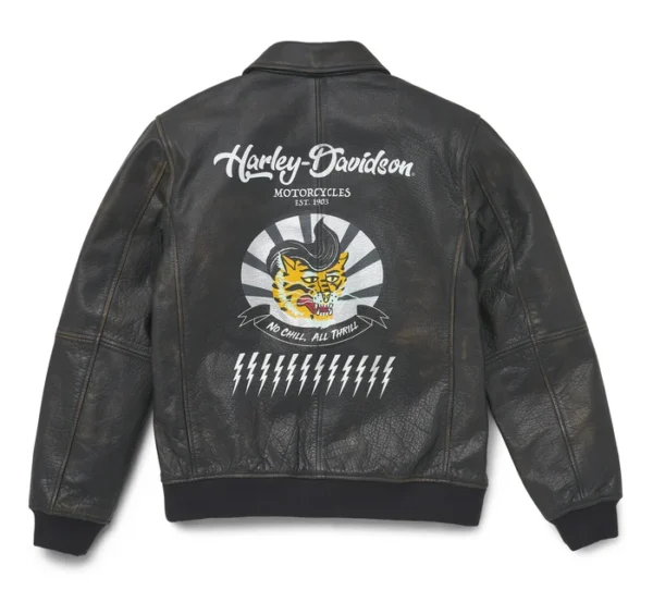 CHAQUETA DE CUERO ARCHER BOMBER - Imagen 3